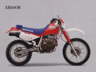 Søger HONDA XR600R