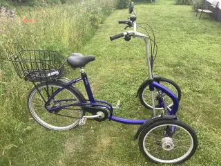 Viktor, super velholdt Seniorcykel...