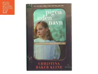 Pigen uden navn af Christina Baker Kline (f. 1964) (Bog)