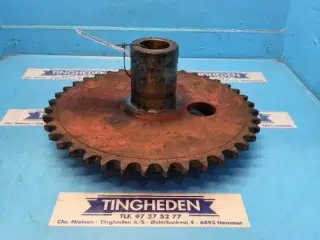 Hesston 4900 Gearhjul 700113329