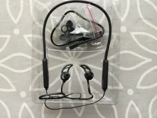 Earphones