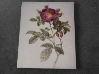 Papirark med Rosa Gallica og sølvglimmer Tilføj et