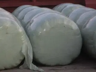 Wrap