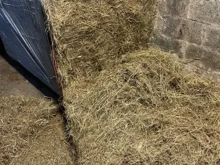 Wrap hø