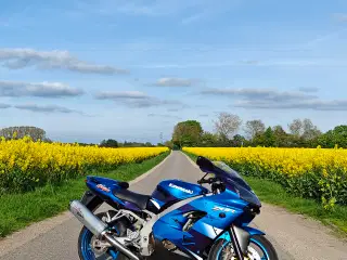 Kawasaki ZX9R, årgang 2000