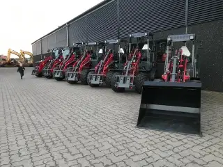 Weidemann Alle modeller