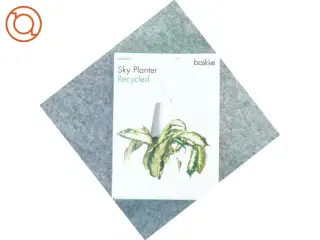 Sky planter fra Boskke (str. 15 x 15)