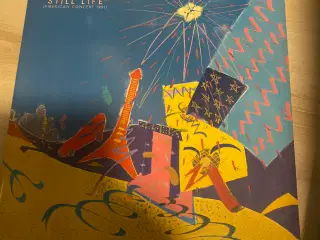 THE ROLLING STONES LP 