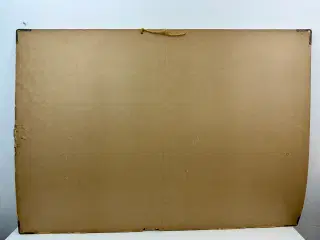 Vintage skoleplanche (Botanik)
