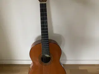 Santana akustisk guitar