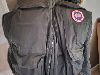 Canada goose gamle model