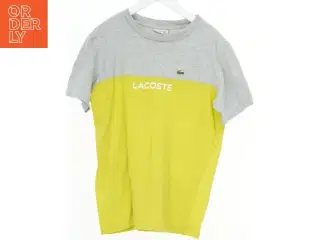 T-shirt med logo fra Lacoste (str. 164)