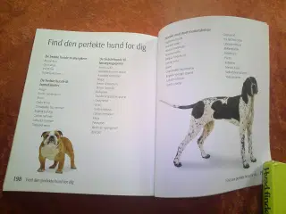 Find din hund, Chas Newkey-Burden