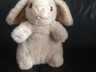 Super sød kanin