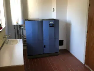 Hus