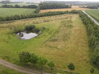 Årlig campingplads til leje på en selvforplejnings