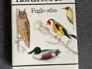 Lademanns Naturfører - fin bog om fugle