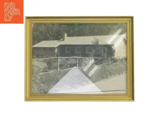 Vintage billede med guldramme (str. 27,5x21,5 cm)