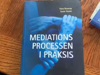 Mediations processen i praksis