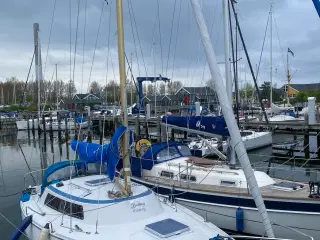 Jeanneau Poker 27 med evt. bådplads