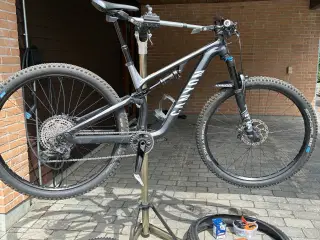 Canyon neuron AL7 str. M