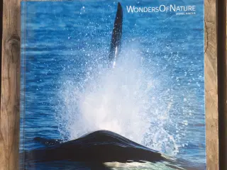 Wonders of Nature, Jannie Nikola, Dansk og Engelsk