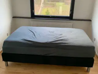 2 Nye senge