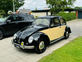 VW Bobbel Oval 1954