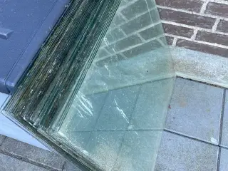 Drivhus glas