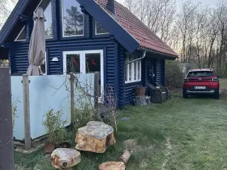 Sommerhus til leje (Vestjylland)