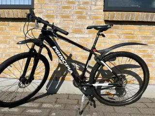 Mountainbike Principia