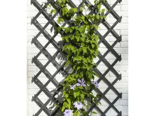 Nature espalier 50x150 cm træ antracitgrå