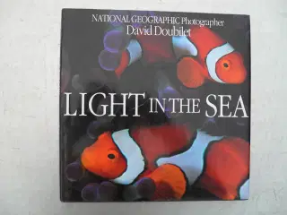 light in the sea af david doubilet