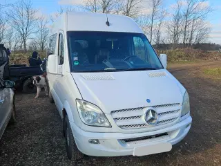 Mercedes bus 11 personers