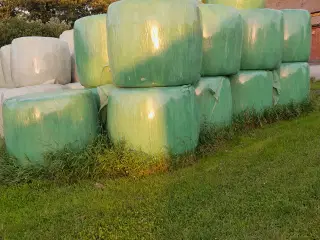 Wrapballer 