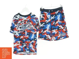 Ralph Lauren shorts og t-shirt sæt (str. 152 cm)