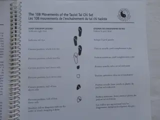 The Art of Taoist Tai Chi []