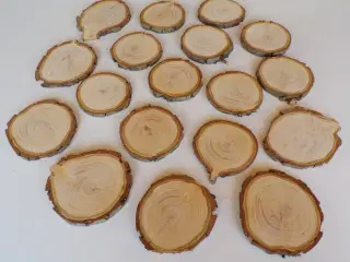 NYE Træskiver Thuja 10 - 11,5 cm 