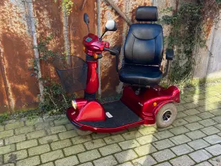 El scooter