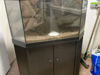 Hjørneakvarie 100L 