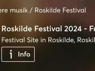 Søger Roskilde Festival Partout-billet