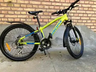 Principia Evoke A2.4