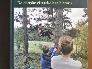 mere end en skole - de danske efterskolers histori