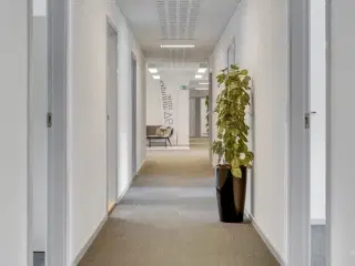 2 minutters kørsel til Motorvej E45