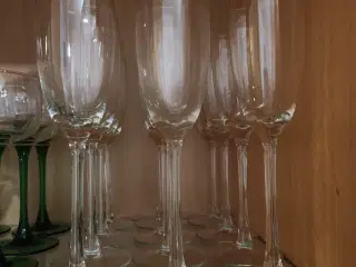 Champagneglas 12stk, brugte kun 1x sælges samlet