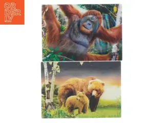 Postkort med dyremotiver fra Wild Republic (str. 15x10 cm)