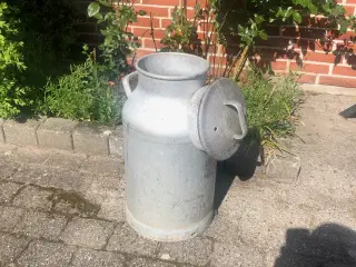 Mælkejunge m/låg