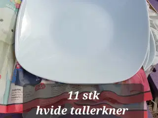 Hvide porcelæns skåle
