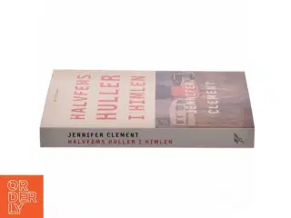 Halvfems huller i himlen : roman af Jennifer Clement (Bog)