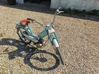 Sco populær knallert